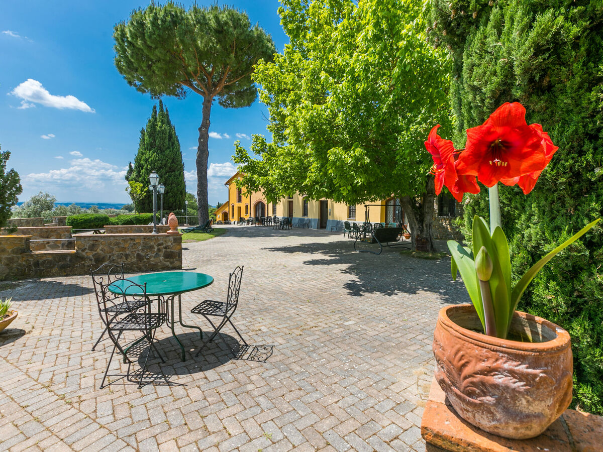 Gîte Montereggi, 4 pers., piscine et 100 ha à Vinci - Photo 27
