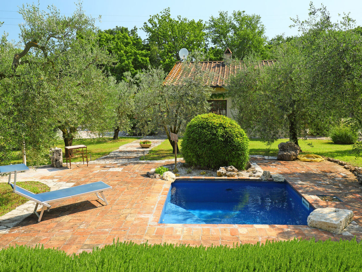 Nest, maison rénovée 100 m² avec piscine saisonnière - Photo 1