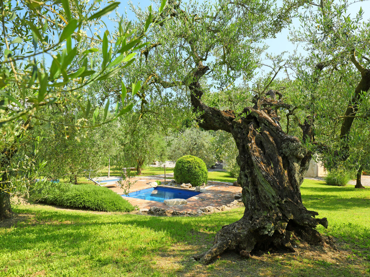 Nest, maison rénovée 100 m² avec piscine saisonnière - Photo 33