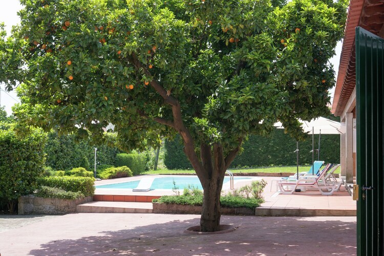 Casa da Castanheta – Maison avec piscine à Ponte de Lima - Photo 16