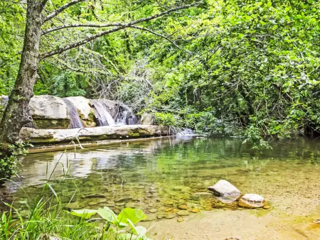 La Valchiera, gîte 15 pers. avec piscine à Sansepolcro : photo 3