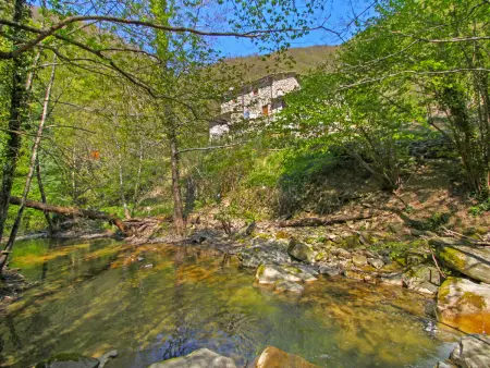 La Valchiera, gîte 15 pers. avec piscine à Sansepolcro : photo 33