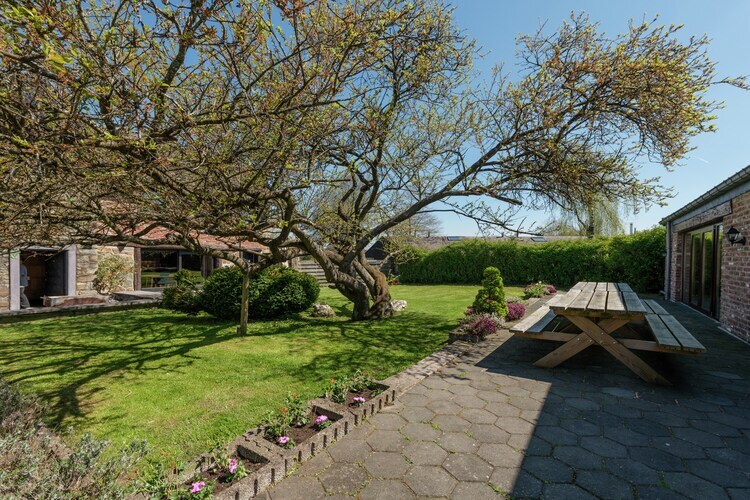 La Coupe de Champagne, maison 21 pers. avec piscine - Photo 47