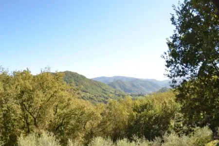 Gelsomino Piccolo, Ferme à Casoli proche des pistes - Photo 30