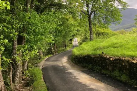Gelsomino Piccolo, Ferme à Casoli proche des pistes - Photo 31