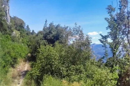 Gelsomino Piccolo, Ferme à Casoli proche des pistes - Photo 37
