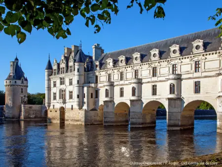 Au Soleil Joyeux, Location Maison 4 personnes à Chissay en Touraine - Photo 24