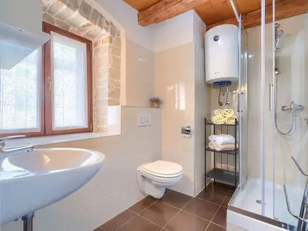 Maison Ivanka 8 personnes avec piscine privée : photo 15