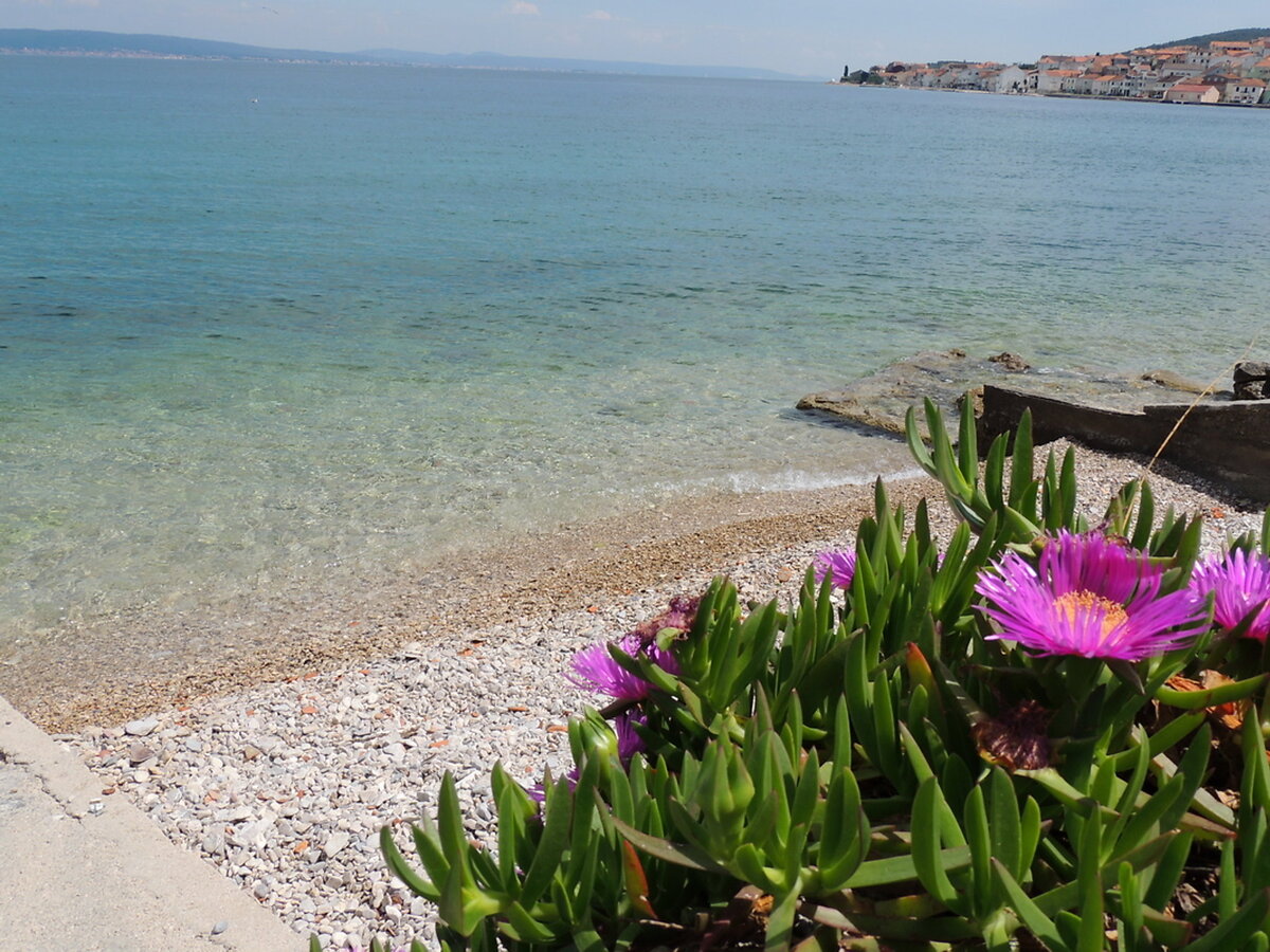Maison Zdenko 1 à Kali, vue mer et piscine - Photo 17