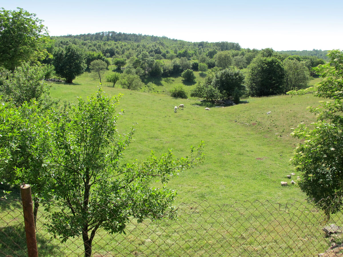 Maison Narcis à Pazin, 6 pers., terrasse 40 m² - Photo 14