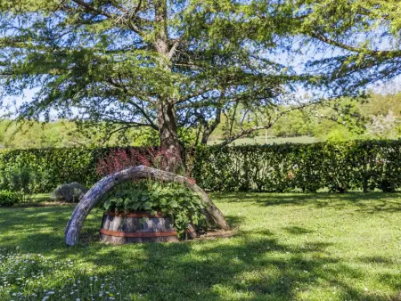 Maison Narcis à Pazin, 6 pers., terrasse 40 m² : photo 43