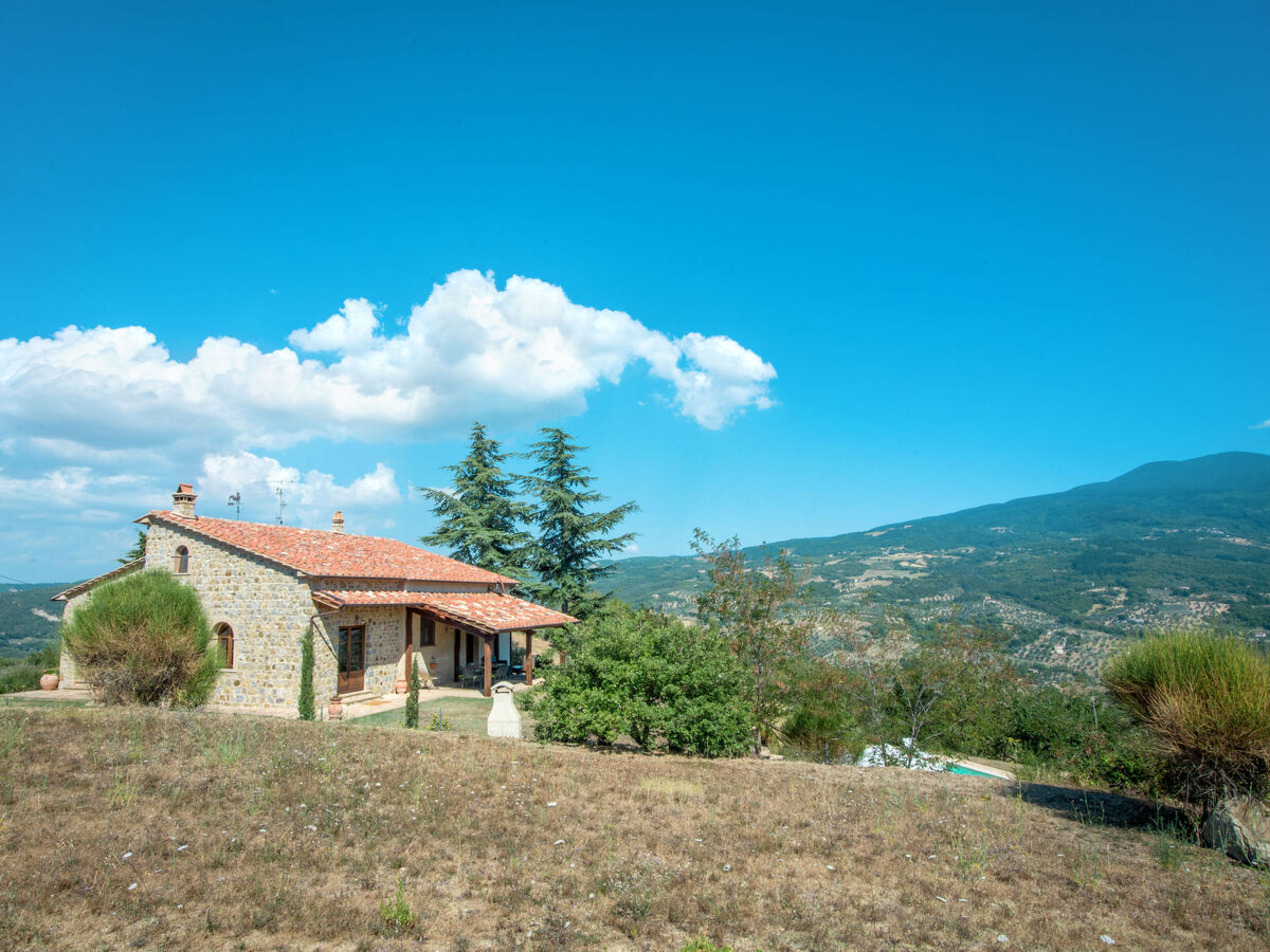 Villa al Sole, maison 8 pers. avec piscine à Montalcino - Photo 25