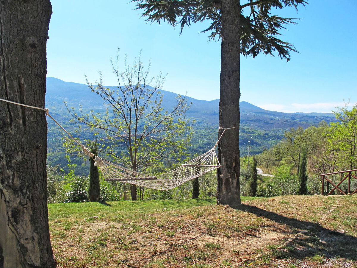 Villa al Sole, maison 8 pers. avec piscine à Montalcino - Photo 28