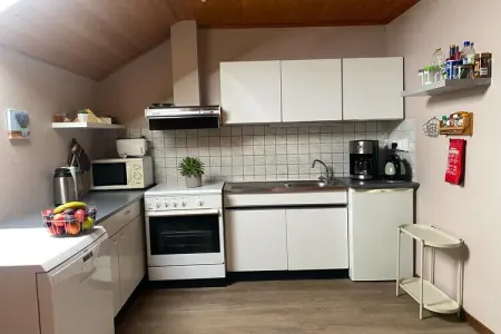 Schell, Appartement près de la forêt à Nidrum - Photo 4