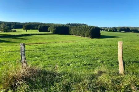 Schell, Appartement près de la forêt à Nidrum - Photo 23