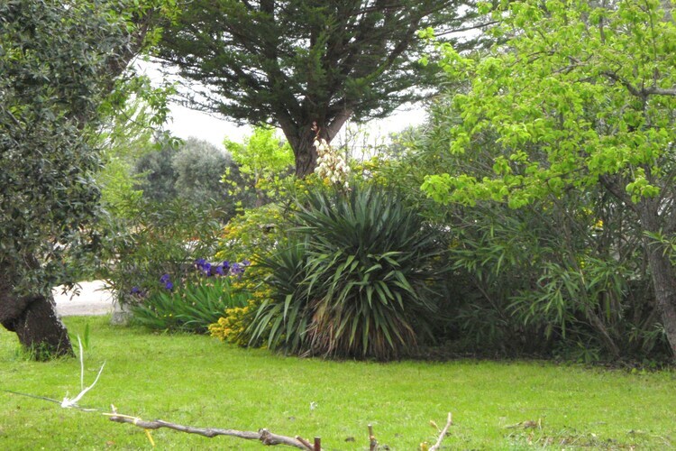 Il Tesoro - Gîte 2 personnes avec jardin à Cisternino - Photo 14