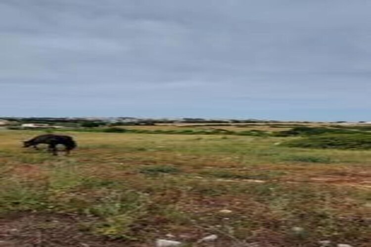 Il Tesoro - Gîte 2 personnes avec jardin à Cisternino - Photo 34