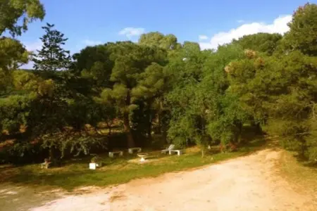 Il Tesoro - Gîte 2 personnes avec jardin à Cisternino : photo 22