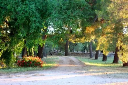 Il Tesoro - Gîte 2 personnes avec jardin à Cisternino : photo 25