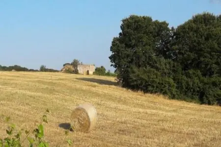 Il Tesoro - Gîte 2 personnes avec jardin à Cisternino : photo 33