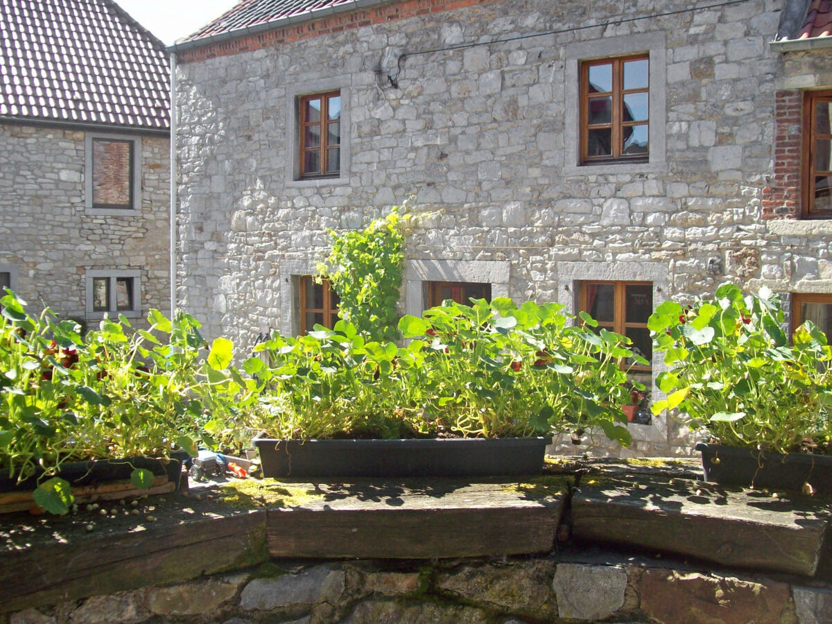 La Bastide, gîte historique 7 pers. à Thy-le-Bauduin - Photo 19
