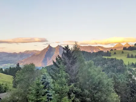 Chalet le Chamois, Location Chalet 6 personnes à Moléson sur Gruyères - Photo 17