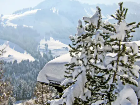 Chalet le Chamois, Location Chalet 6 personnes à Moléson sur Gruyères - Photo 19