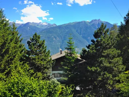 L'Alpage, Location Chalet 6 personnes à Ovronnaz - Photo 13
