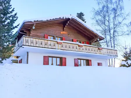 Le Hibou, Chalet 6 personnes à Nendaz - Photo 1