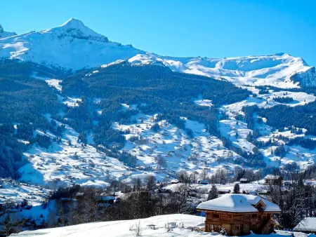 Chalet Abendrot apARTments, Appartement 2 personnes à Grindelwald - Photo 27
