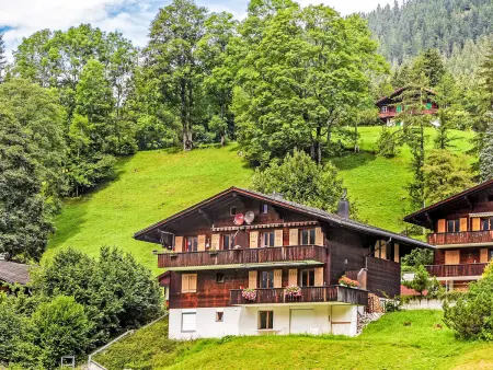 Location appartement à Grindelwald, Chalet Blaugletscher