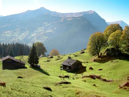 Egg-Isch, Chalet 6 personnes à Grindelwald - Photo 30