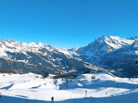 Egg-Isch, Chalet 6 personnes à Grindelwald - Photo 33