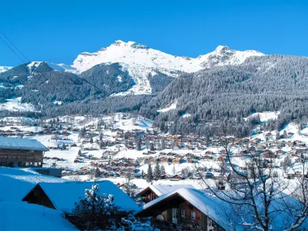 Egg-Isch, Chalet 6 personnes à Grindelwald - Photo 34