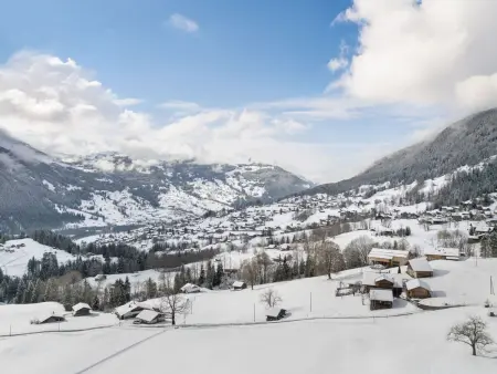 Egg-Isch, Chalet 6 personnes à Grindelwald - Photo 36