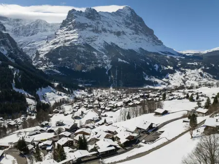 Egg-Isch, Chalet 6 personnes à Grindelwald - Photo 37