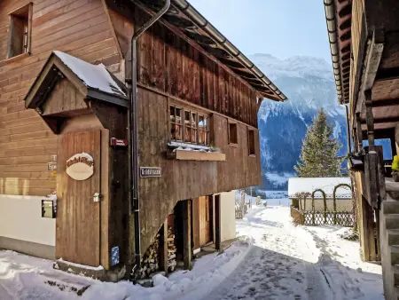Hüsli, Chalet 4 personnes à Brienzwiler - Photo 19