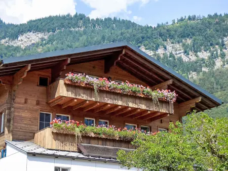 Location appartement de vacances à Brienzwiler