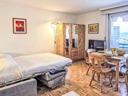Cransalpin Apt. 3 / Secteur 1, Appartement 2 personnes à Crans Montana - Photo 7