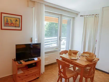 Cransalpin Apt. 3 / Secteur 1, Appartement 2 personnes à Crans Montana - Photo 9