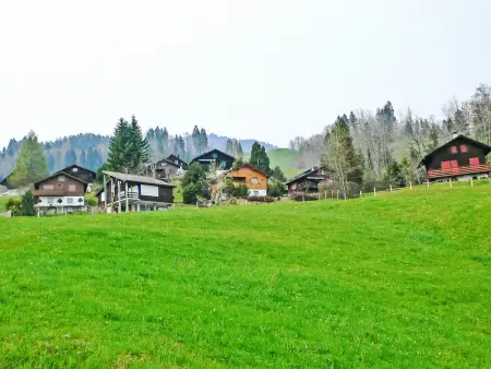 Margrith, Chalet 4 personnes à Giswil - Photo 25
