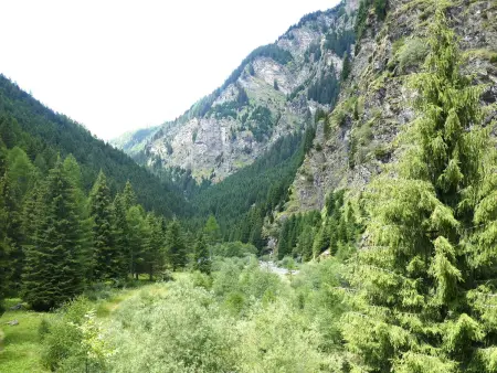 Rustico Dara Cotta, Maison 4 personnes à Malvaglia - Photo 13