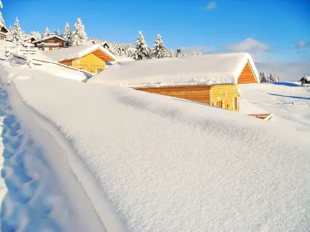 Maiensäss Komfort, Maison 6 personnes à Urmein - Photo 39