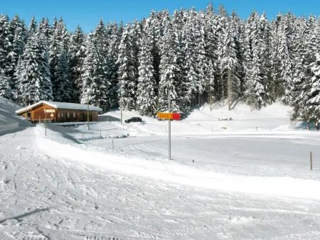 Maiensäss Komfort, Maison 6 personnes à Urmein - Photo 54