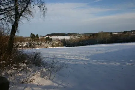 Am weissen Hirsch, Belle maison de vacances au bord de la forêt à Amel - Photo 39