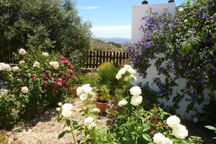 Villa Casa Coqui & Juan Ramón, piscine privée - Photo 40