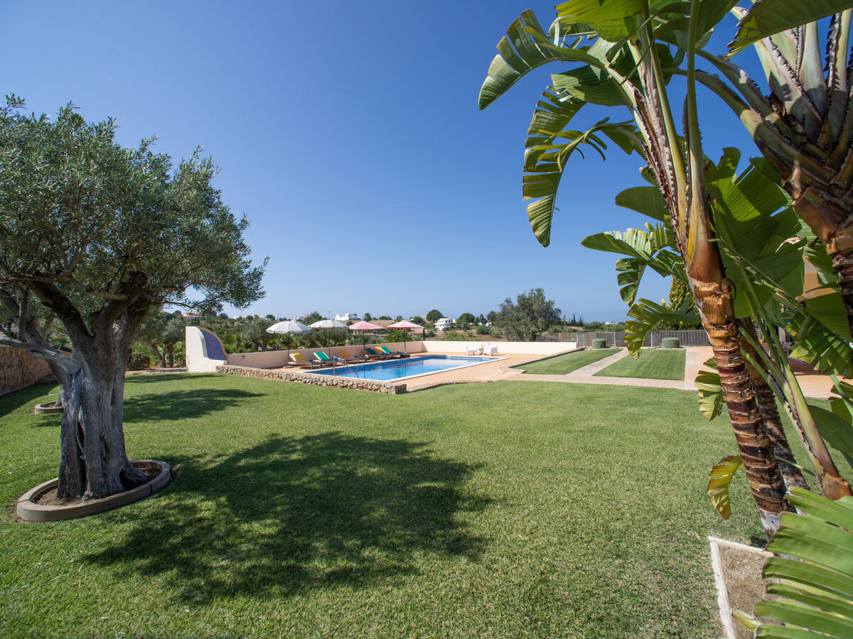 Alto da Rafoia, maison 6 pers. avec piscine à Carvoeiro - Photo 3