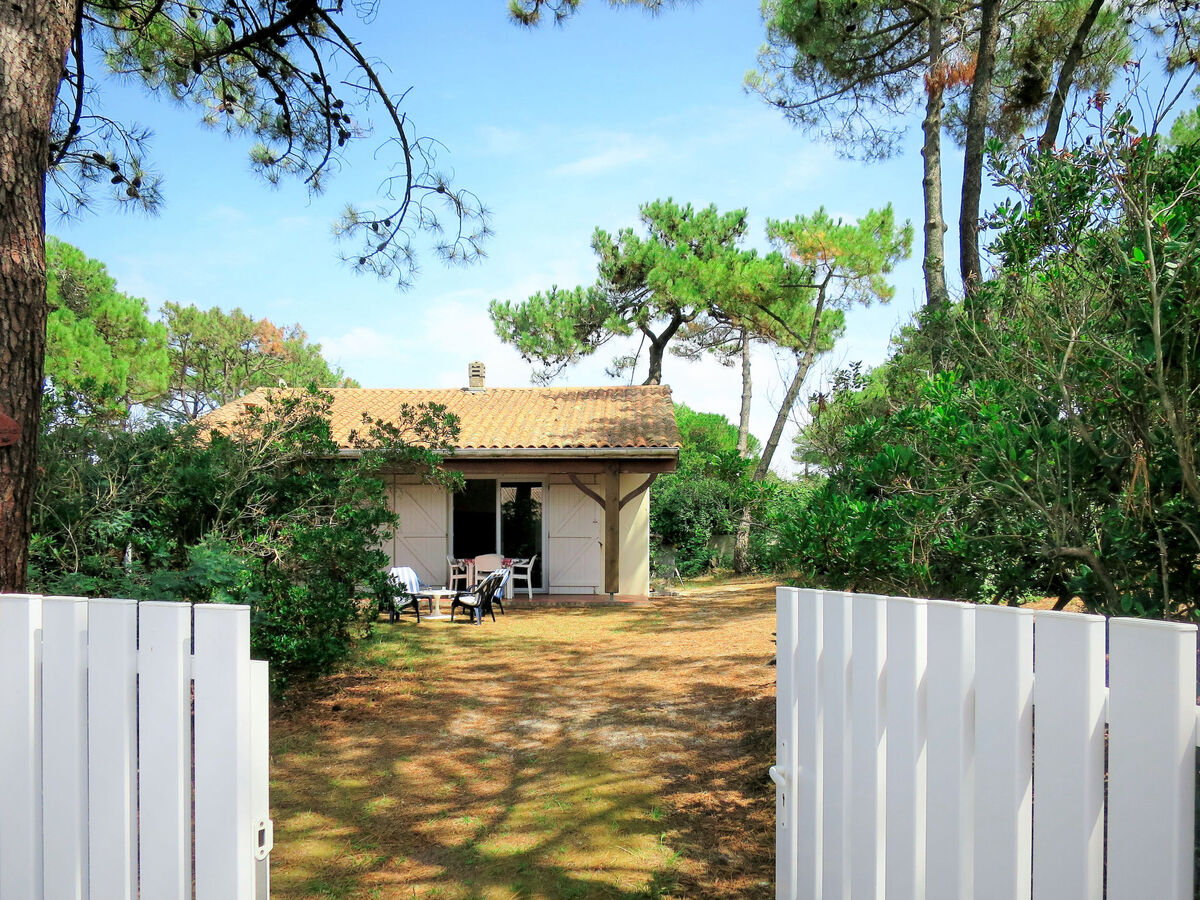 Maison Anne Marie à Lacanau, 500 m de la plage - Photo 14