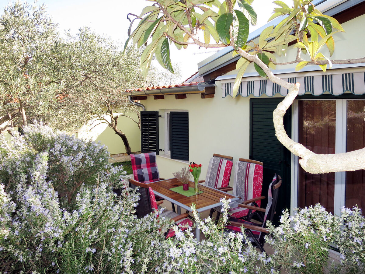 Camp Marko – Maison 6 pers., 300 m de la plage - Photo 1