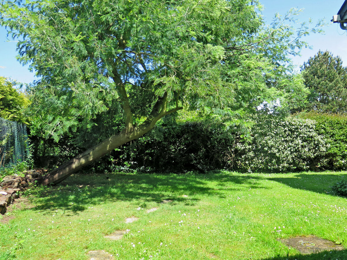 Le Chalet, maison bois à 1,4 km de la mer à Cancale - Photo 15